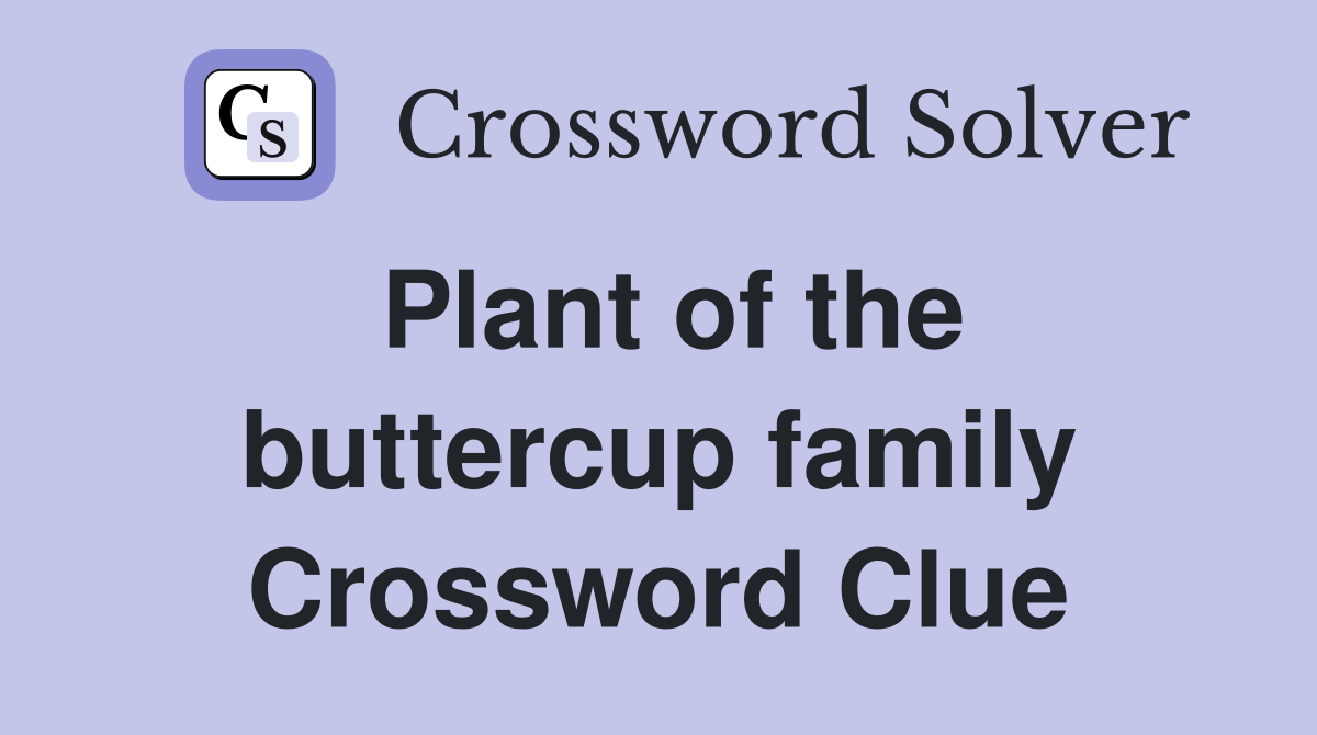 plant of the buttercup family crossword clue 8 letters